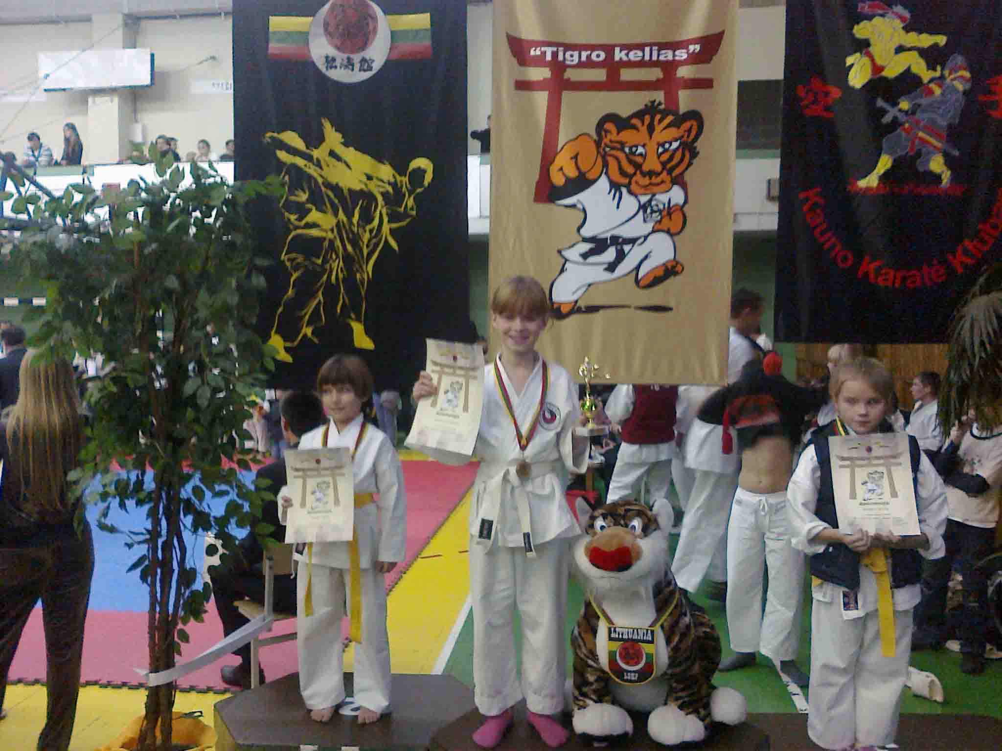 gallery/kaunas_10/06112010491.jpg