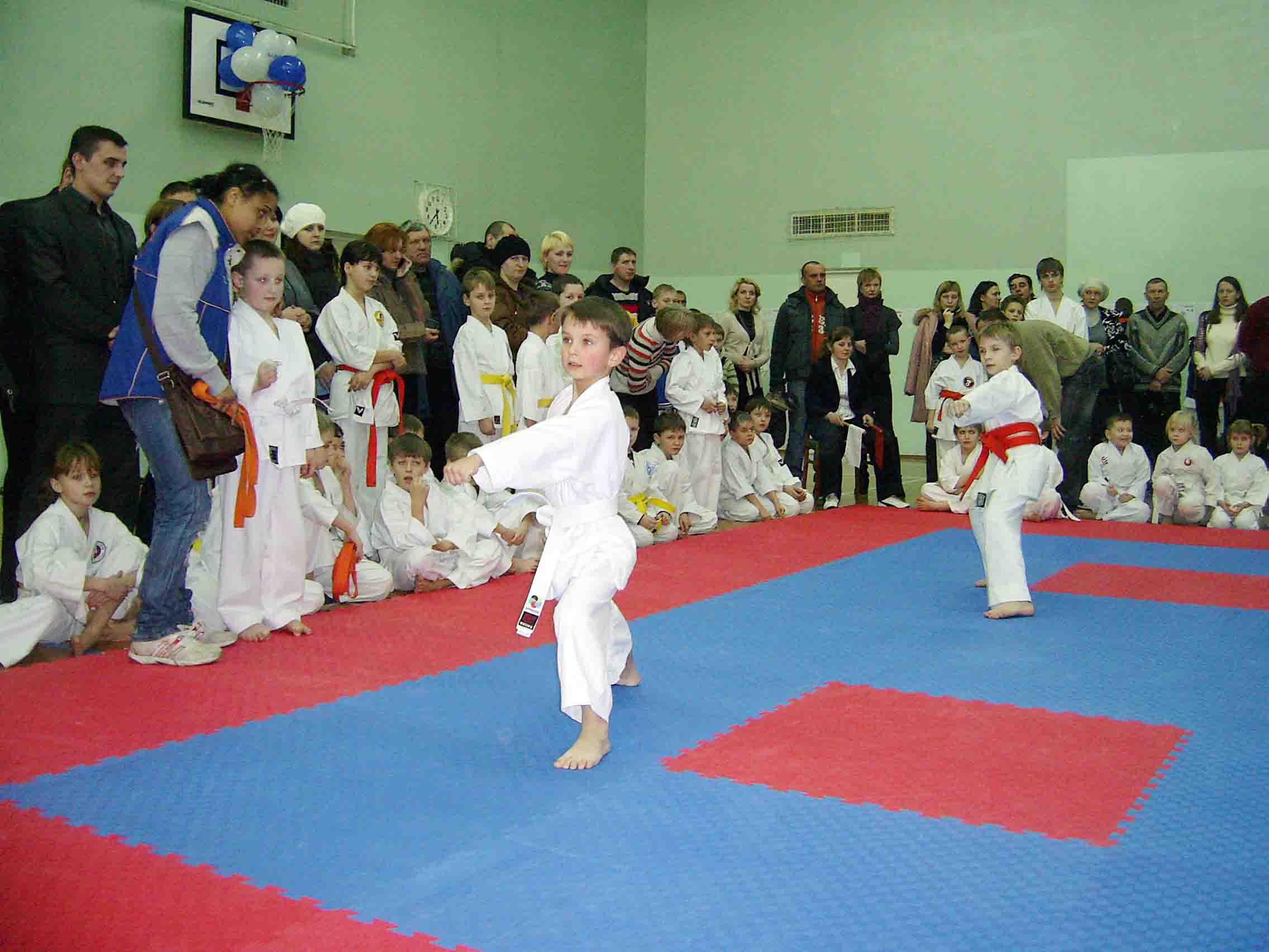gallery/ross_2011/SA402081.jpg