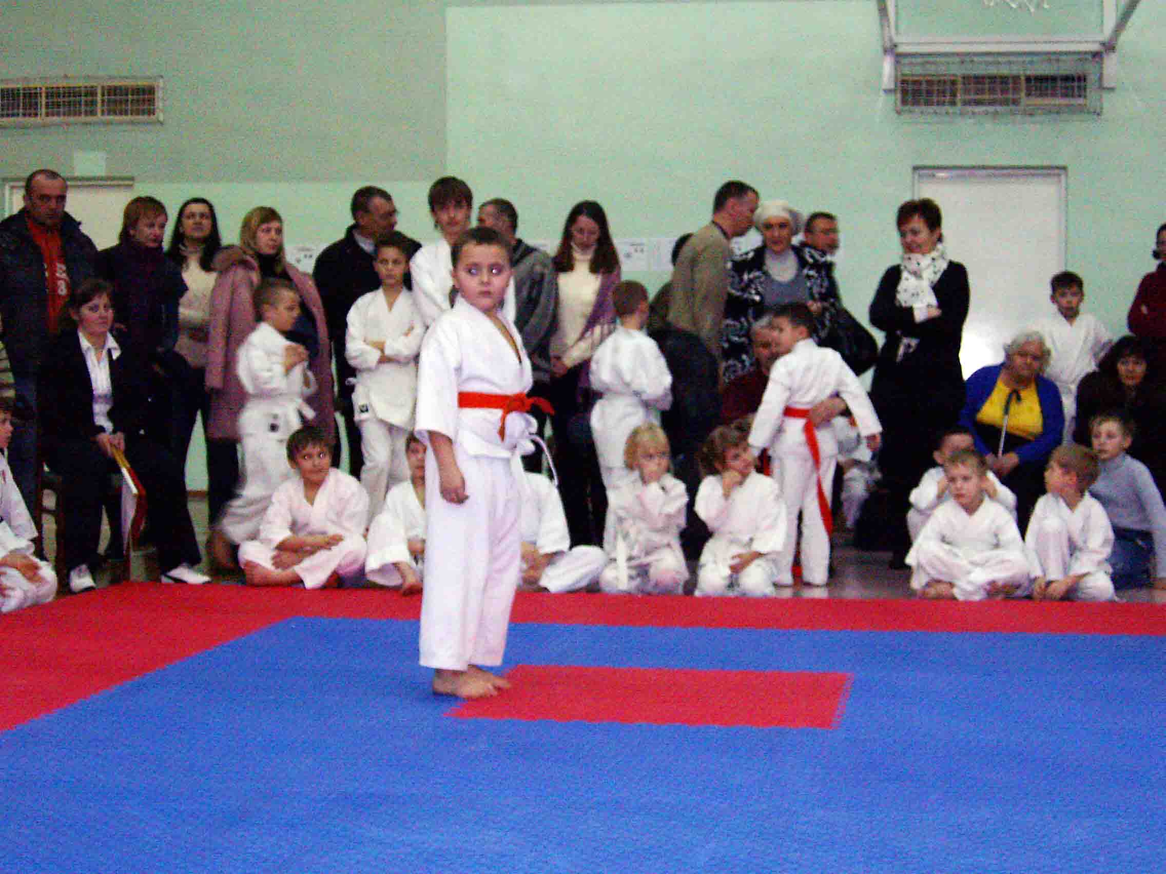 gallery/ross_2011/SA402084.jpg